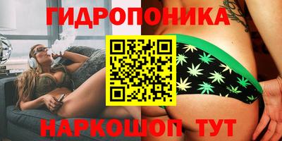 ПСИЛОЦИБИНОВЫЕ ГРИБЫ Изобильный